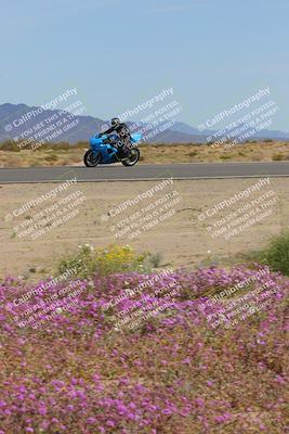 media/Mar-12-2023-SoCal Trackdays (Sun) [[d4c8249724]]/Turn 15 Inside Bloom (130pm)/